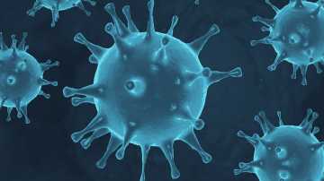 86c3de14-821e-4746-97f8-c40bf7a50f5d Hoffmann & Hofmann – Start